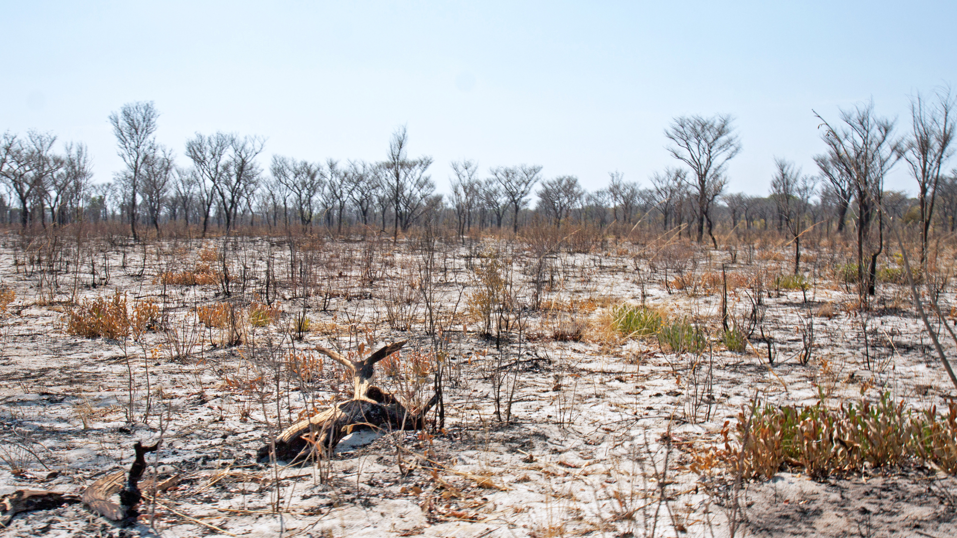Threats-to-Biodiversity